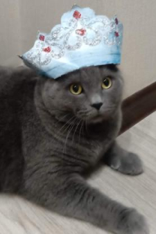 Софья Ивановна Куковская